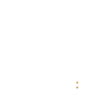 dsl-golden-ffb