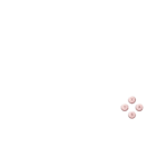 dsl-pink-button